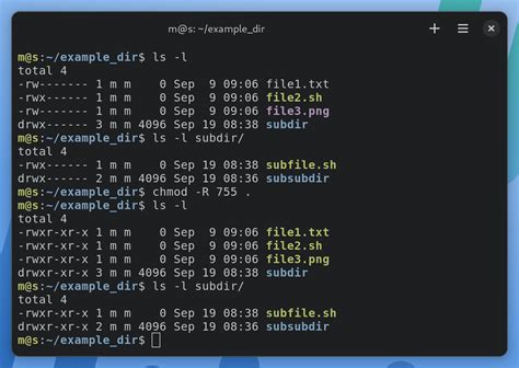 chmod 再帰: ディレクトリの権限を変える魔法の呪文