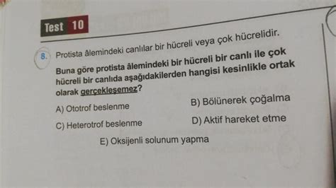  Yiğit Yüzgeçli! Gizemli Bir Protist Dünyası Kapısı